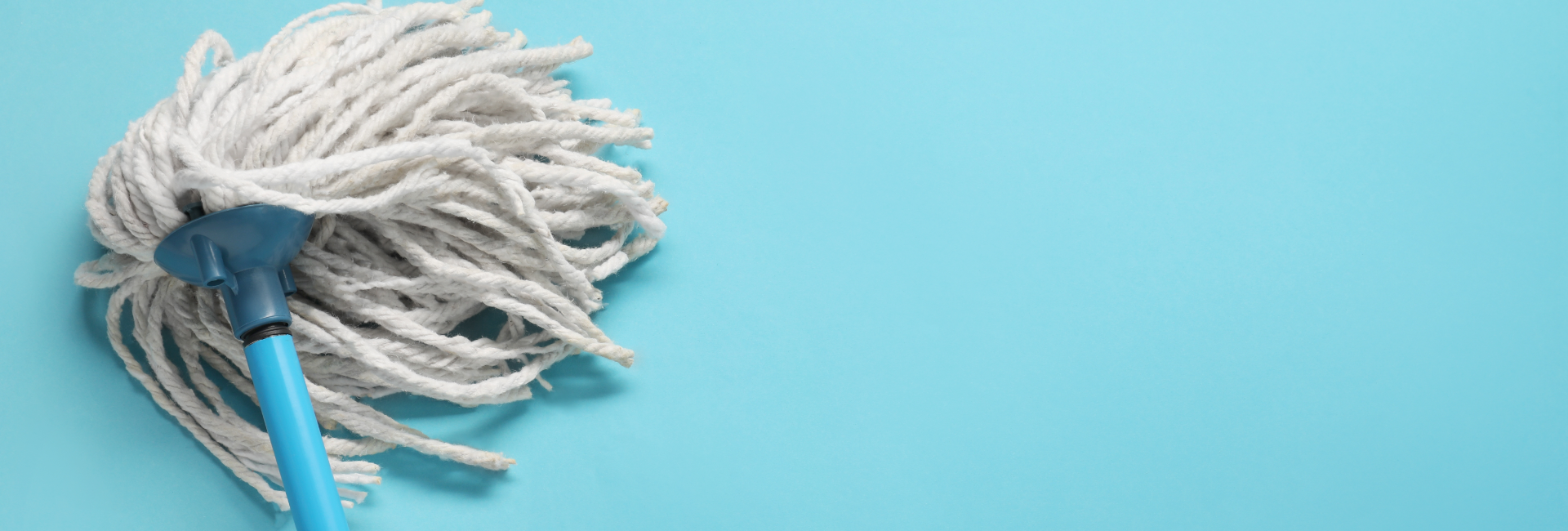 Mophead On Blue Background 1920X650